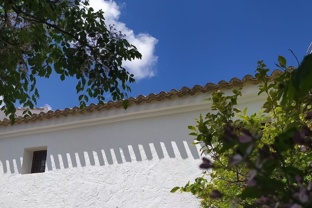 Photo of Others in Algarinejo