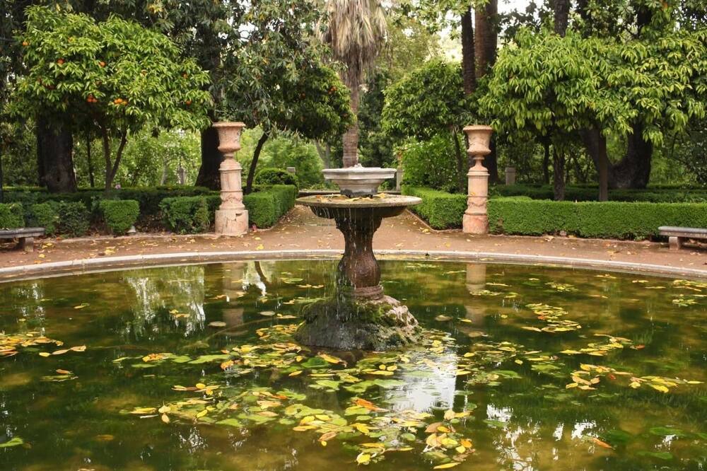 Photo of Outdoor in Granada City Center