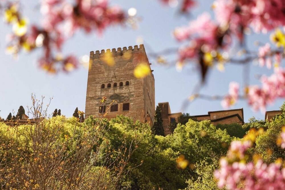 Photo of Outdoor in Granada City Center