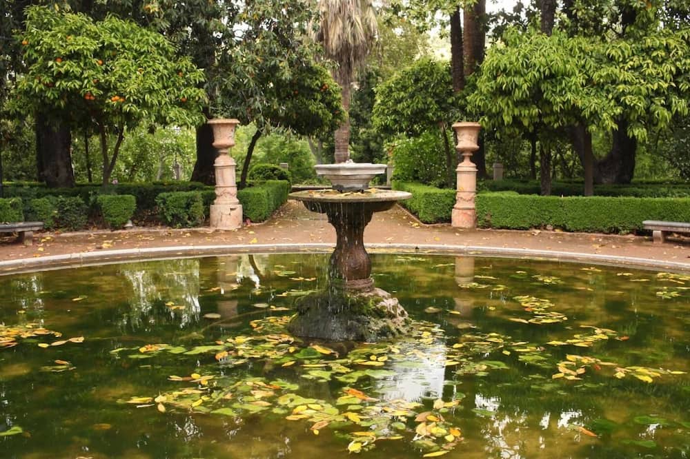 Photo of Outdoor in Granada City Center