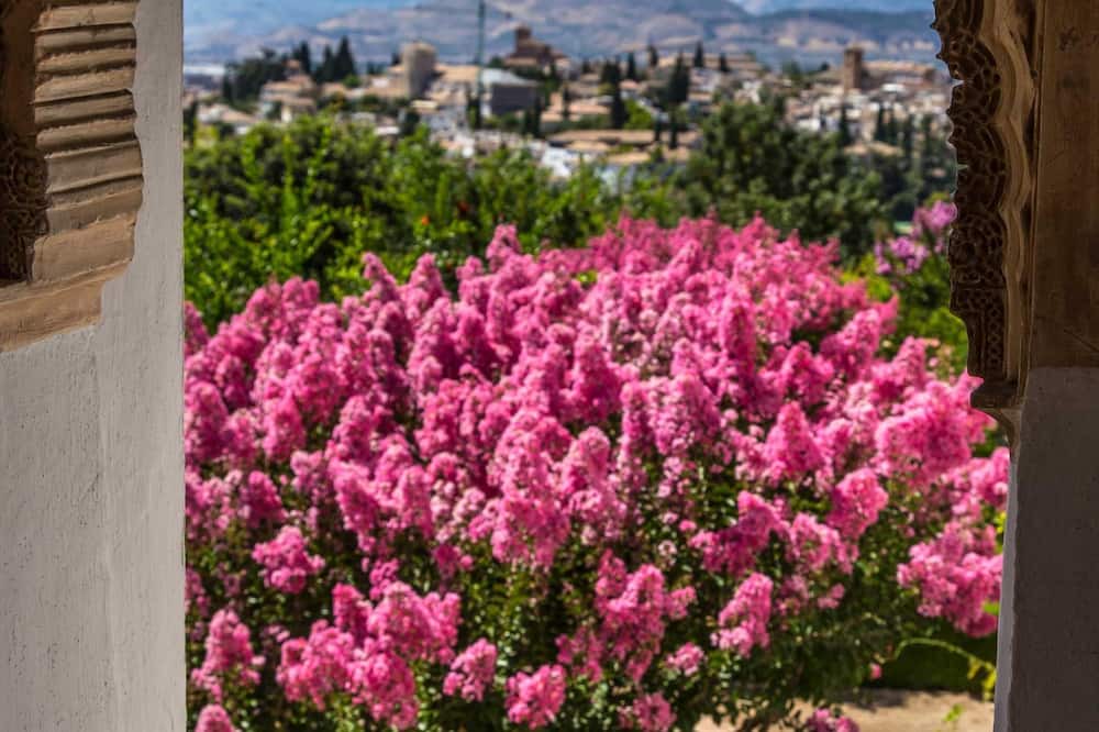 Photo of Outdoor in Granada City Center