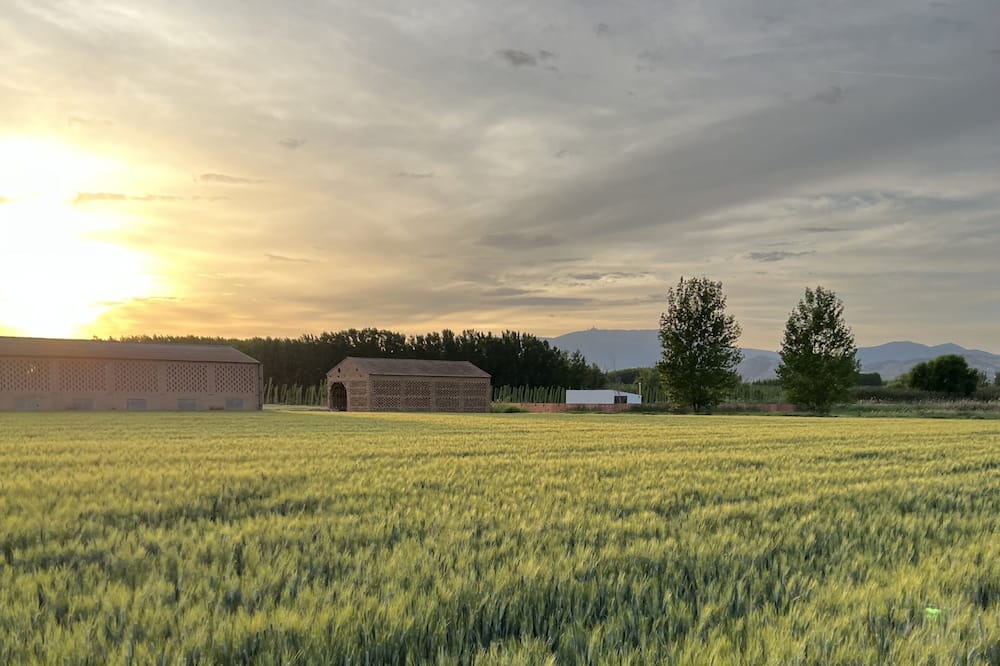 Photo of Outdoor in Cijuela