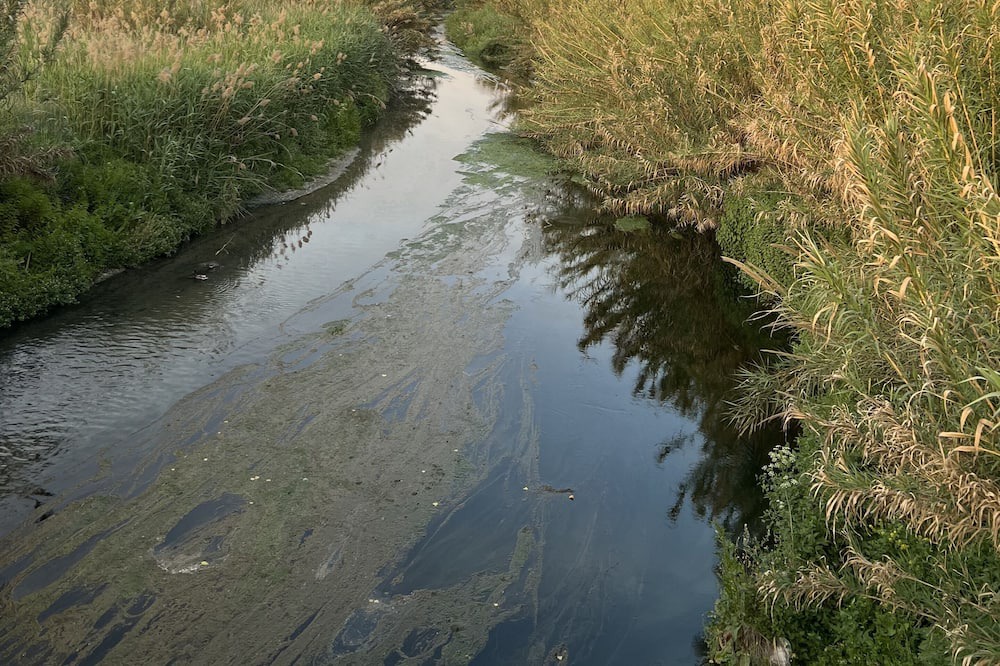 Photo of Outdoor in Cijuela