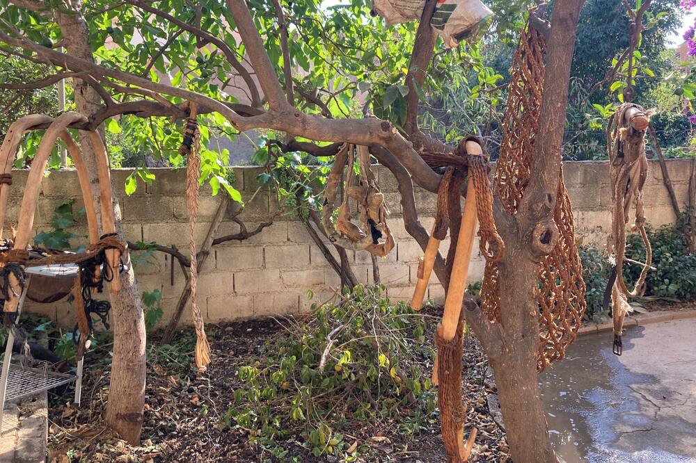 Photo of Outdoor in Murchas