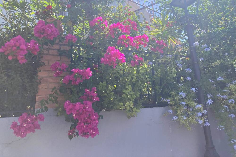 Photo of Outdoor in Murchas