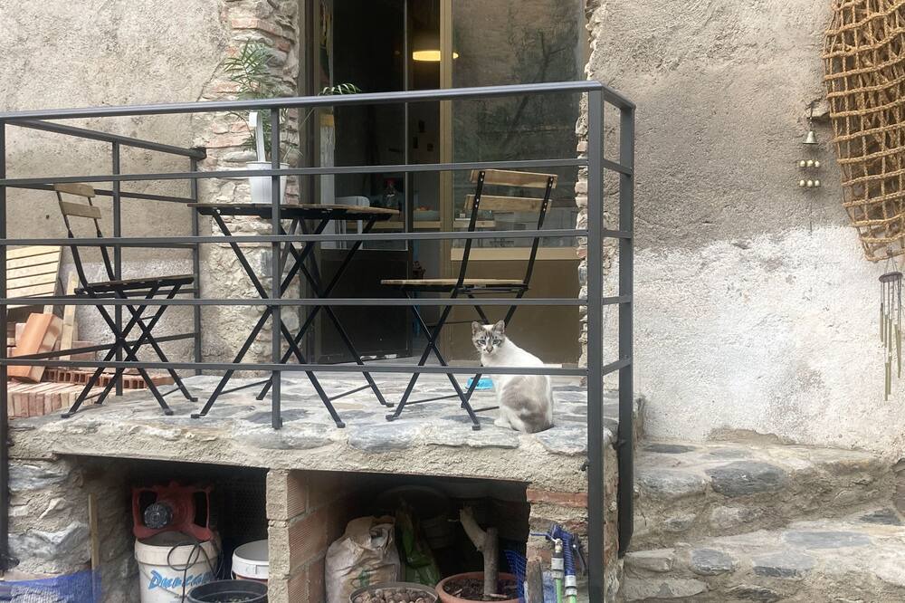 Photo of Outdoor in Murchas
