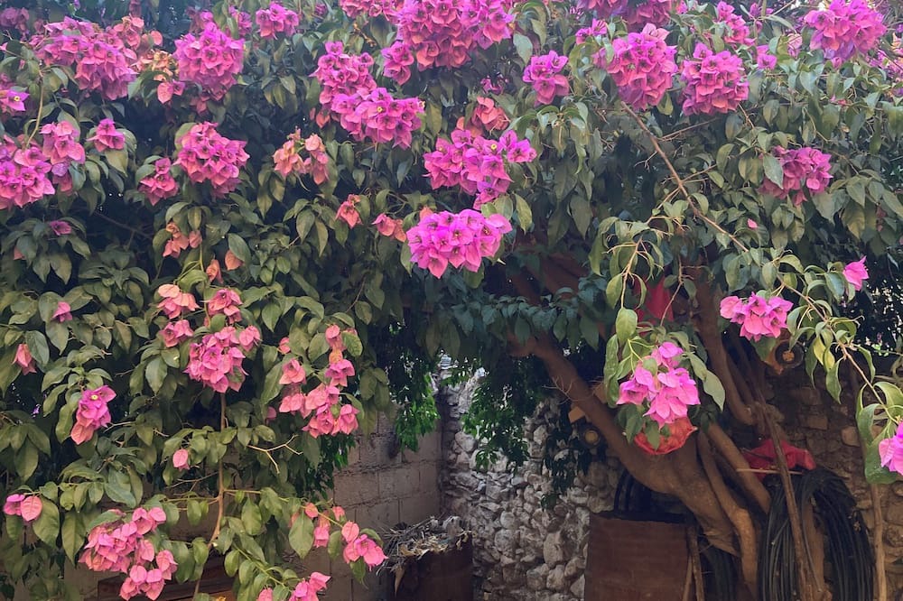 Photo of Outdoor in Murchas