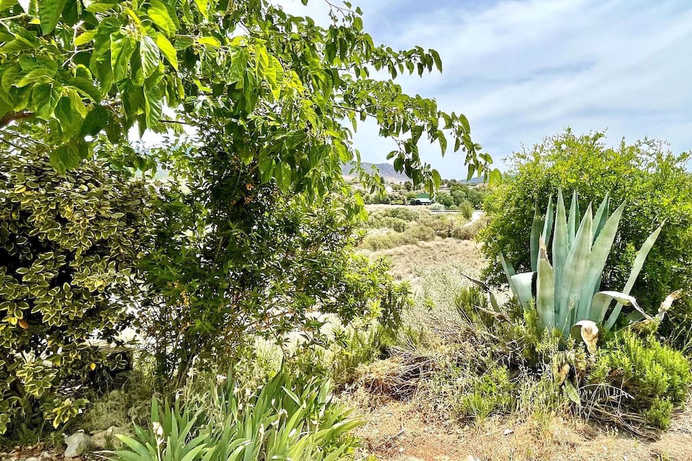 Photo of Outdoor in Cullar