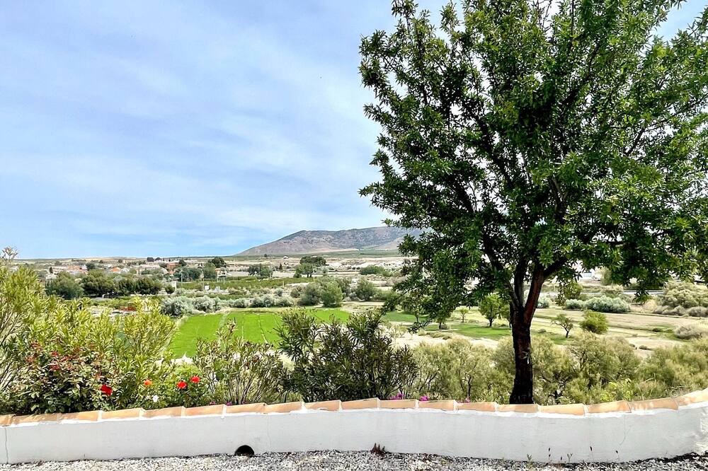 Photo of Outdoor in Cullar