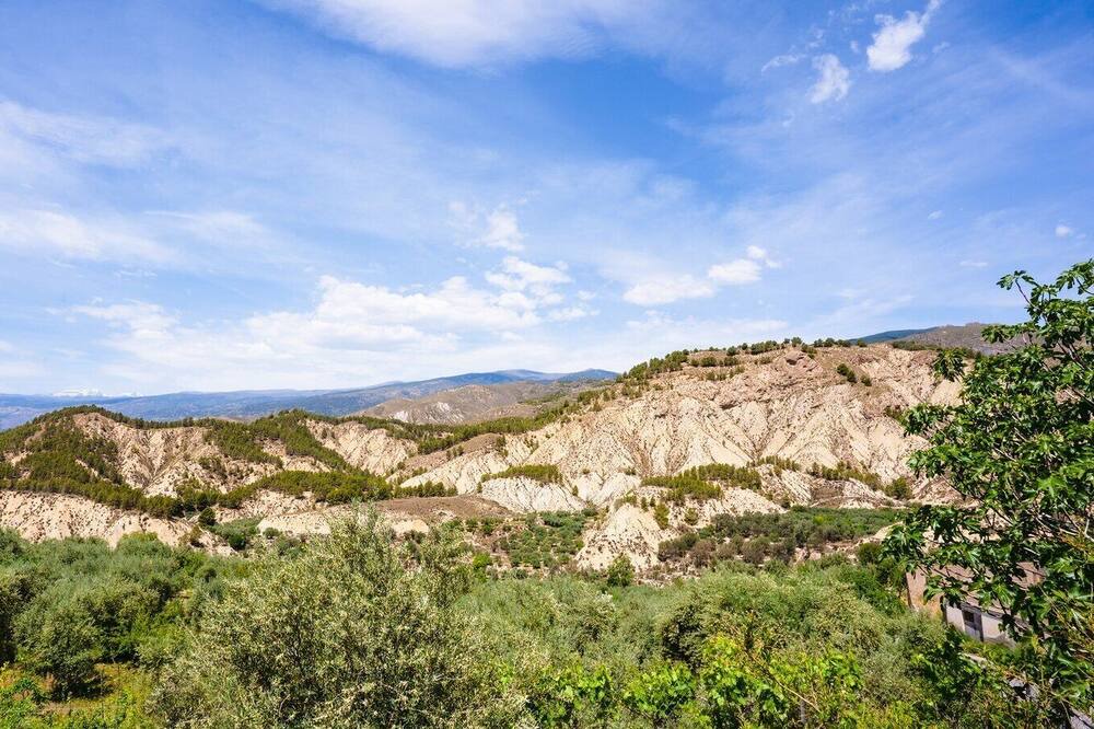 Photo of Others in Alcolea