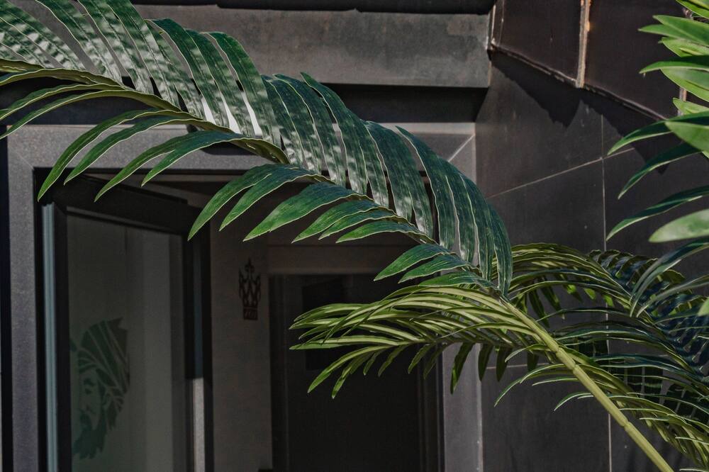 Photo of Outdoor in Cogollos de Guadix