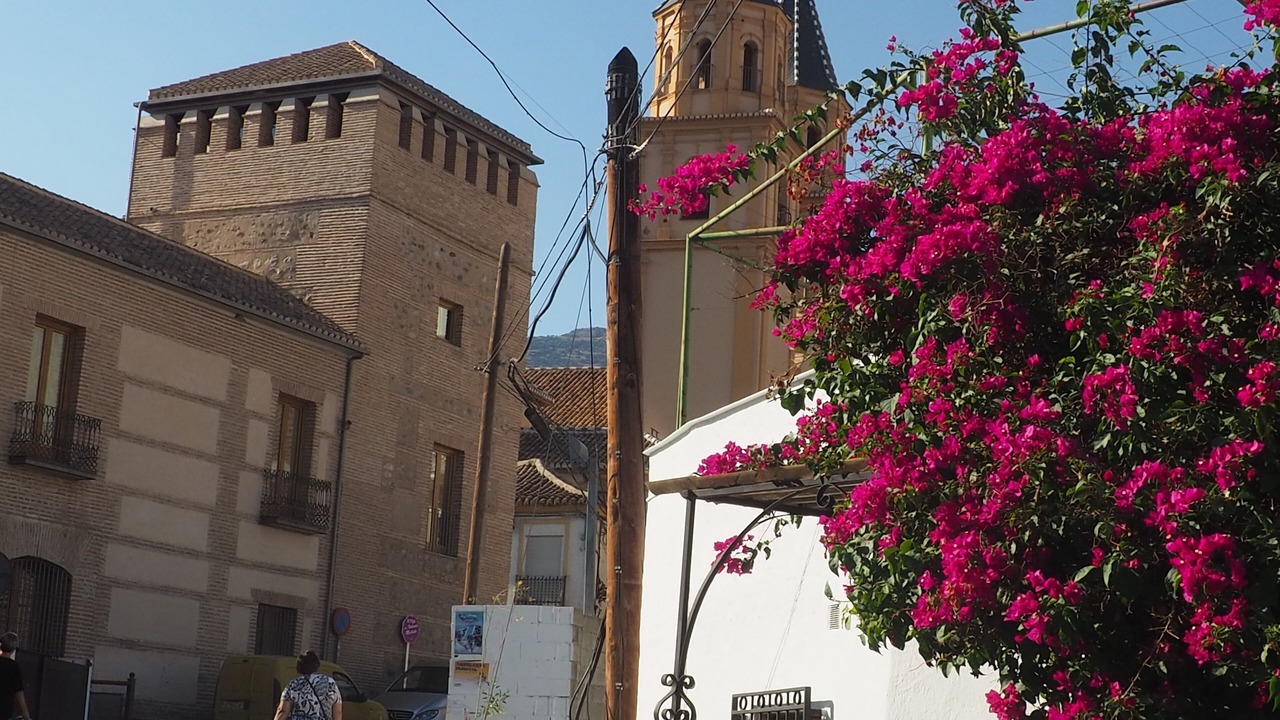 Photo of Outdoor in Melegis