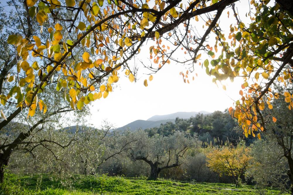 Photo of Outdoor in Lanjaron
