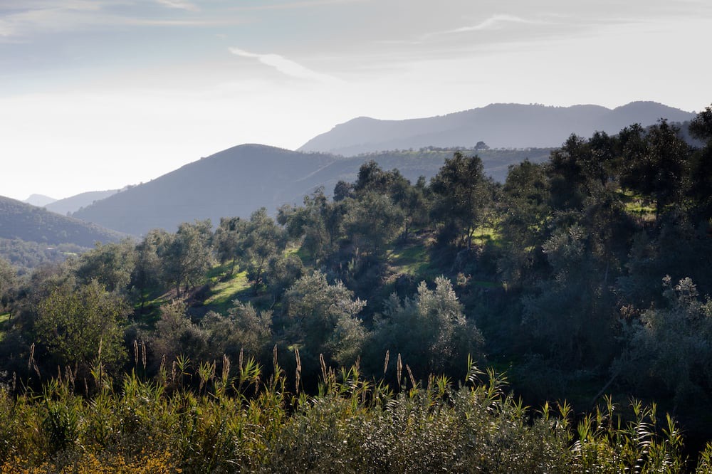 Photo of Outdoor in Lanjaron