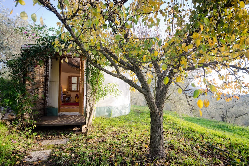 Photo of Outdoor in Lanjaron