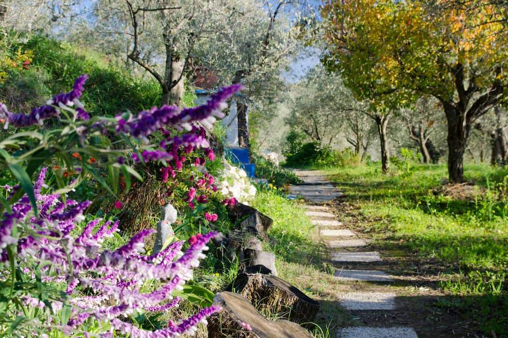 Photo of Outdoor in Lanjaron