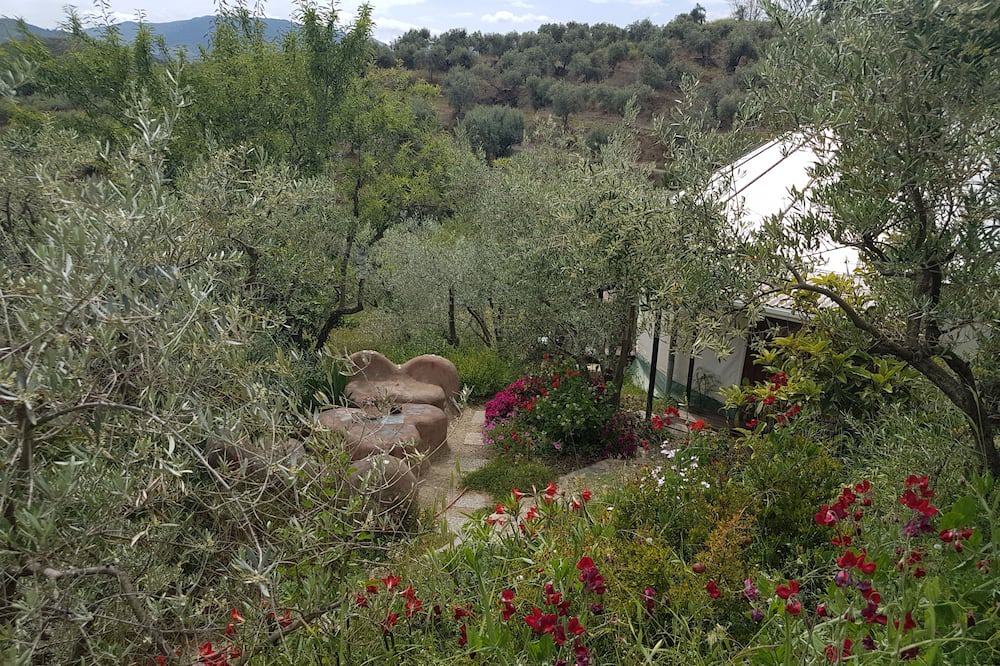 Photo of Outdoor in Lanjaron