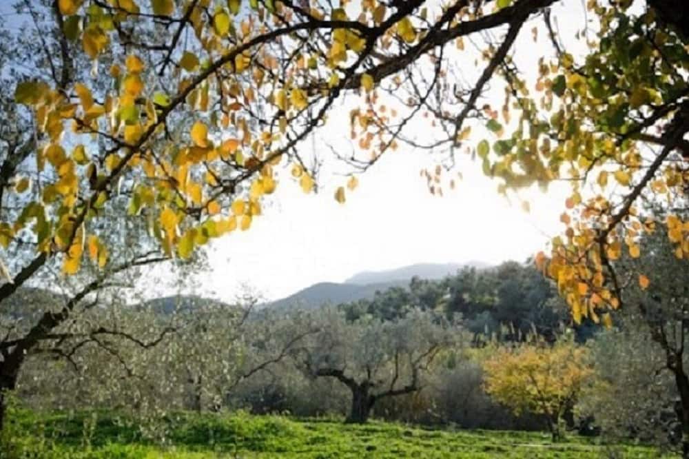 Photo of Outdoor in Lanjaron