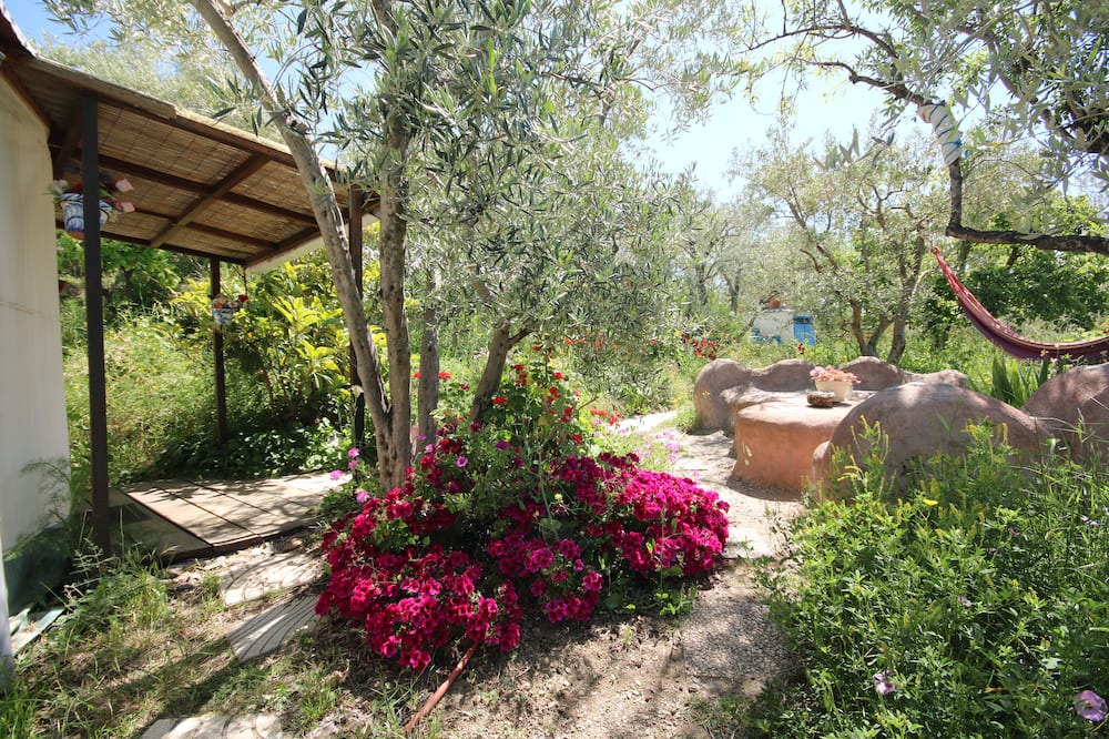 Photo of Outdoor in Lanjaron