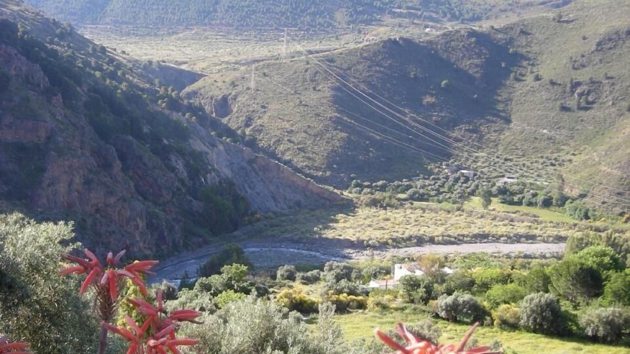 Photo of Outdoor in Guajar Faraguit