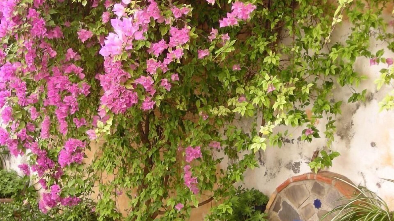 Photo of Outdoor in Guajar Faraguit