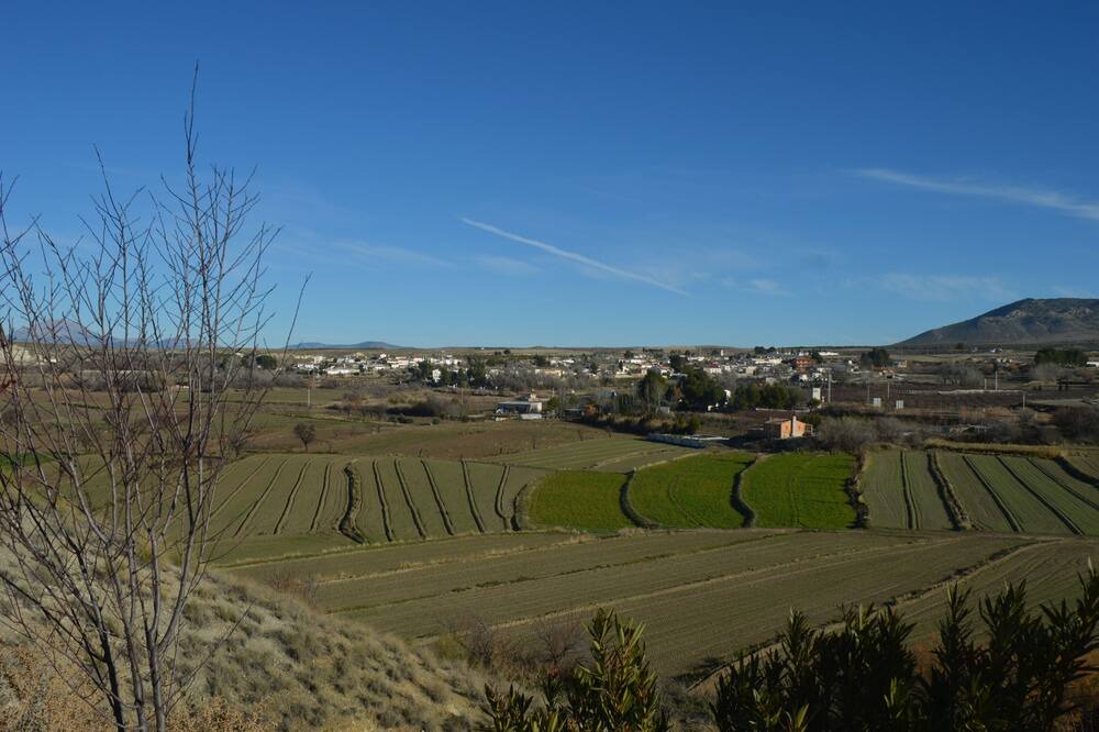Photo of Others in Cullar