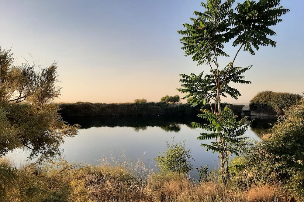 Photo of Outdoor in Alquife