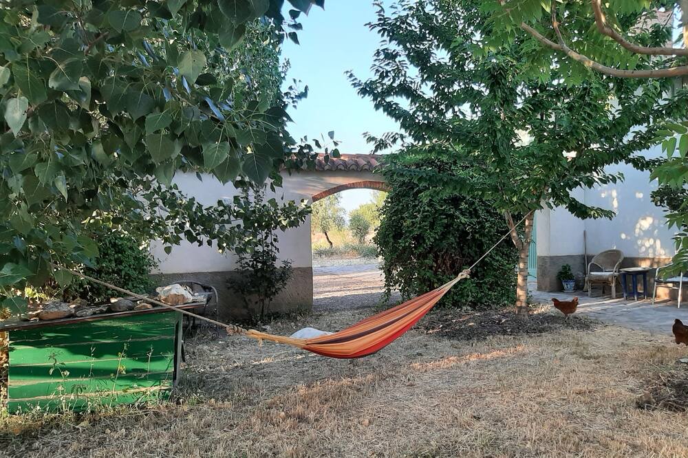Photo of Outdoor in Alquife
