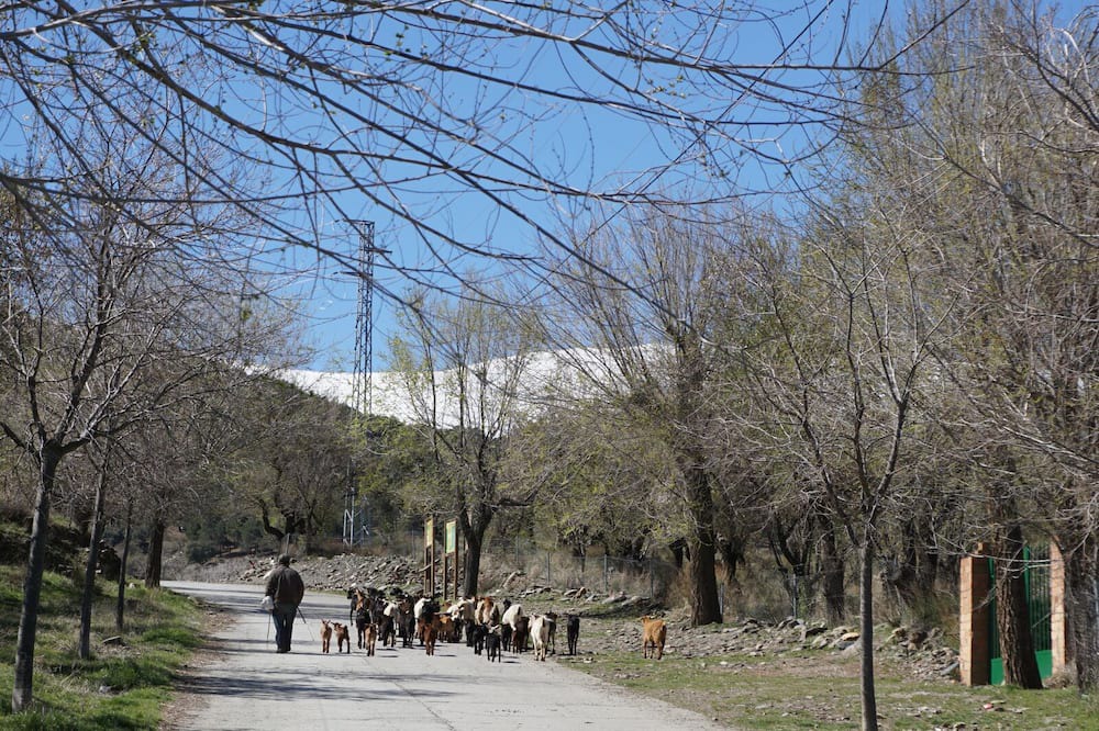 Photo of Outdoor in Alquife