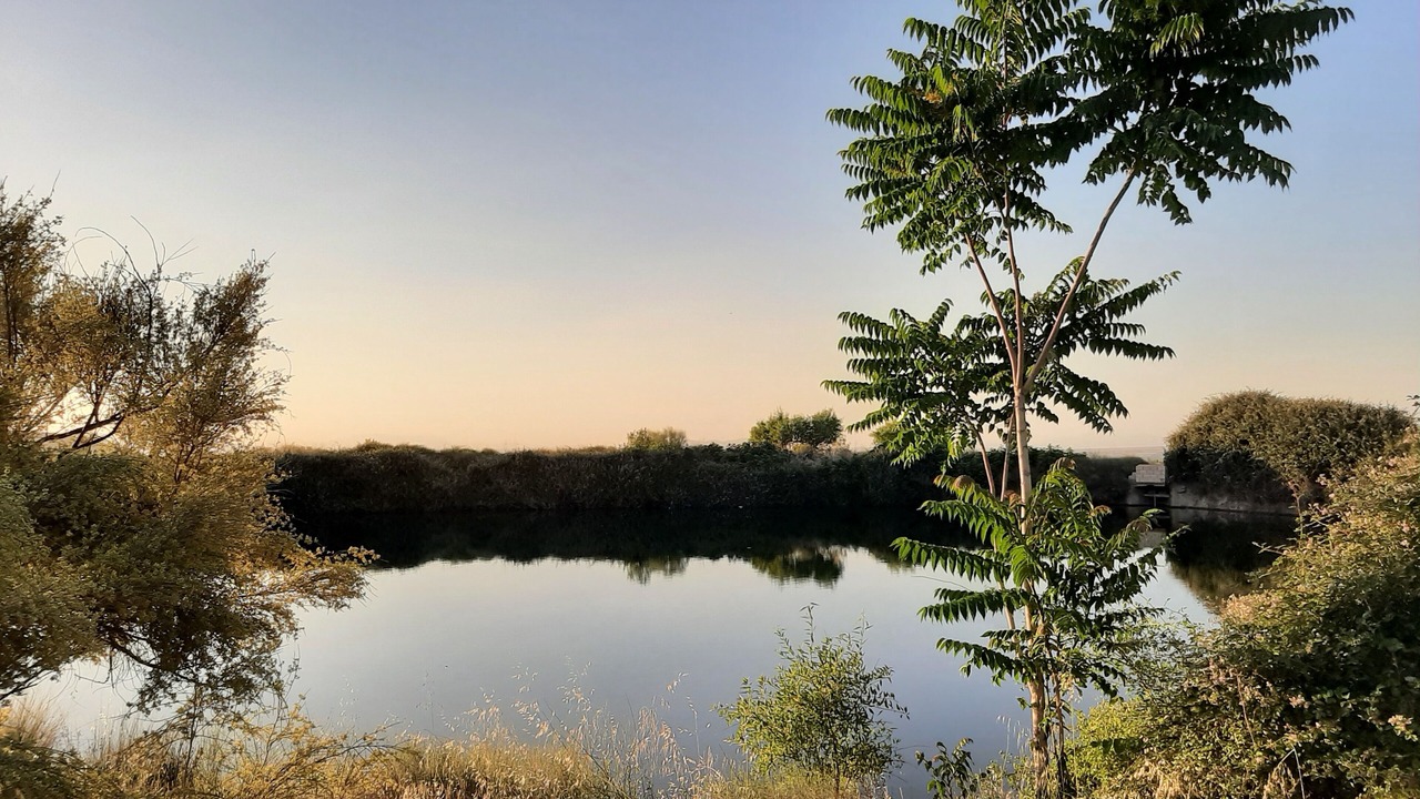 Photo of Outdoor in Alquife