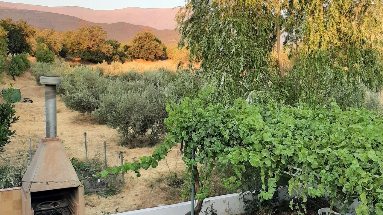 Photo of Outdoor in Alquife