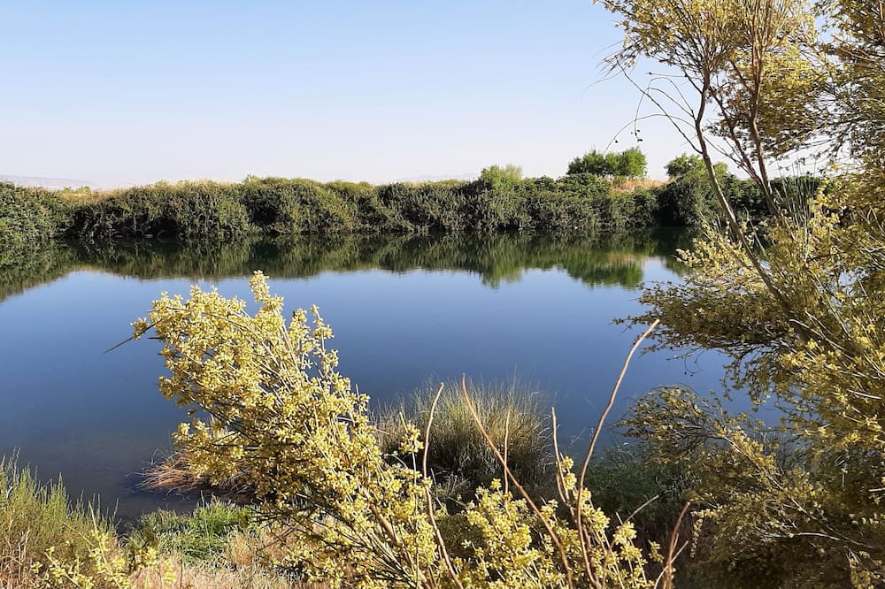 Photo of Outdoor in Alquife