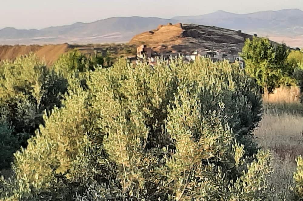 Photo of Outdoor in Alquife