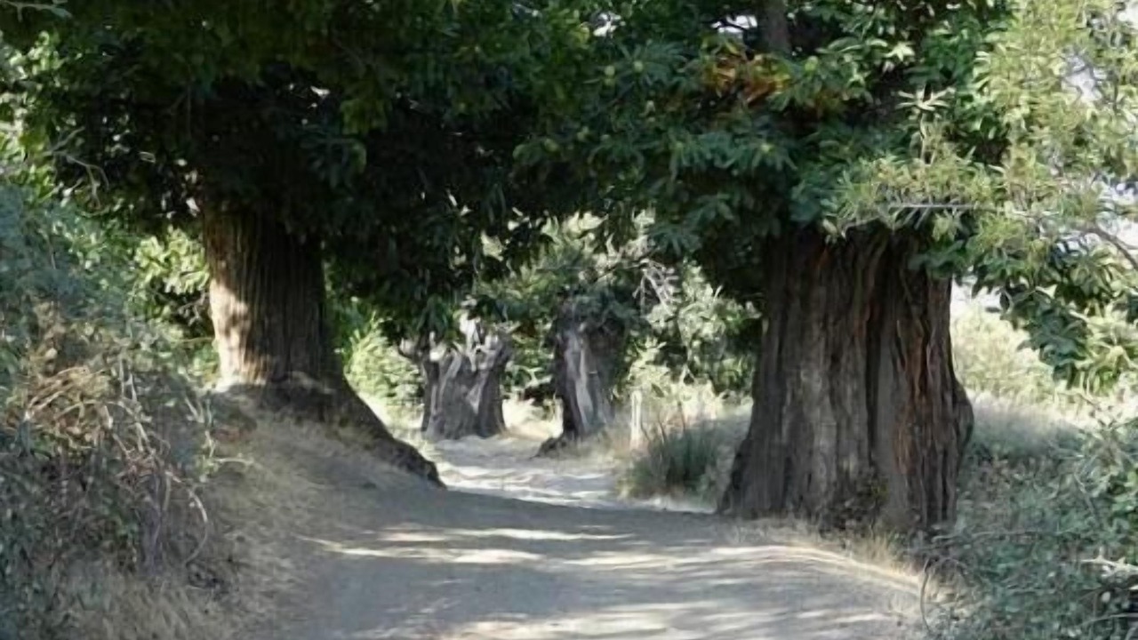 Photo of Outdoor in Alquife
