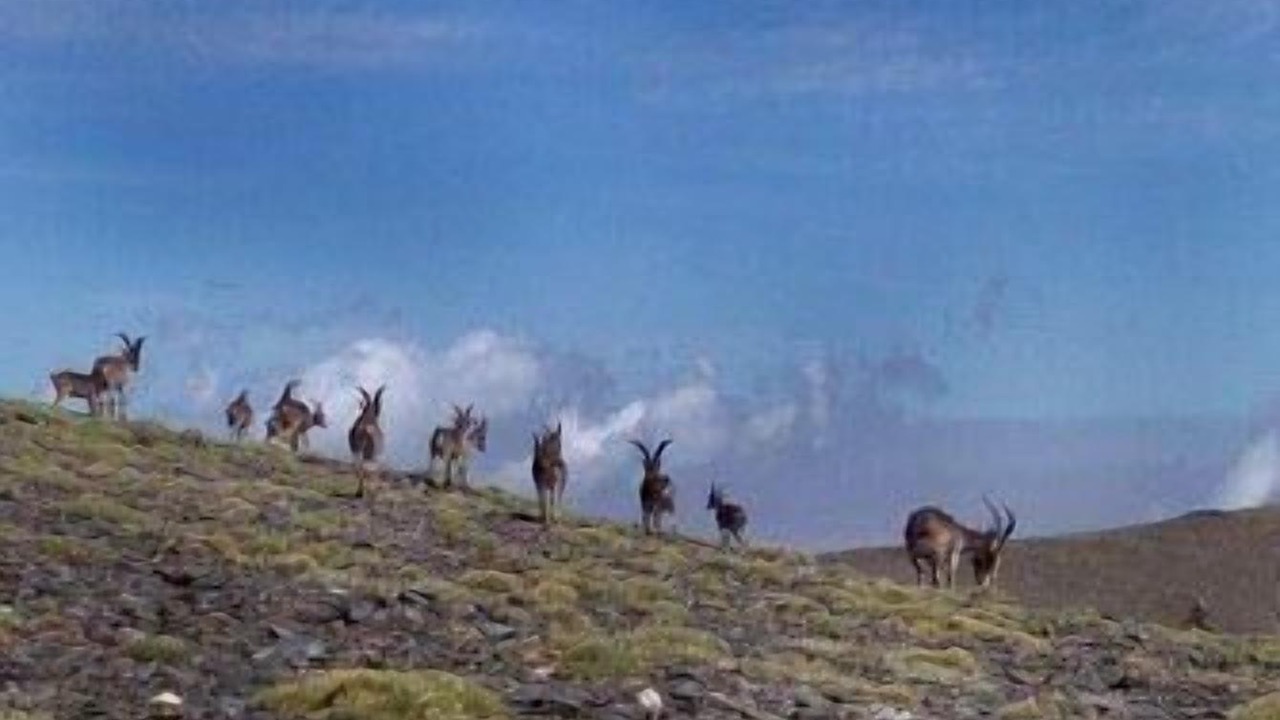 Photo of Outdoor in Alquife