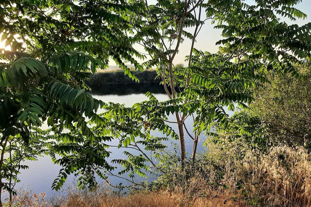 Photo of Outdoor in Alquife