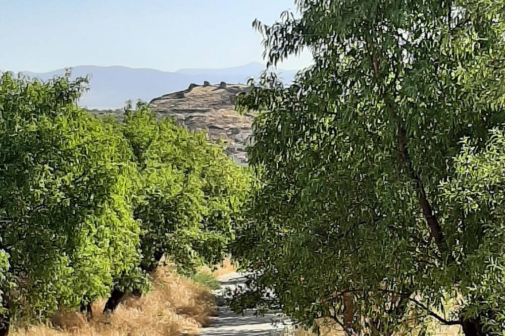 Photo of Outdoor in Alquife