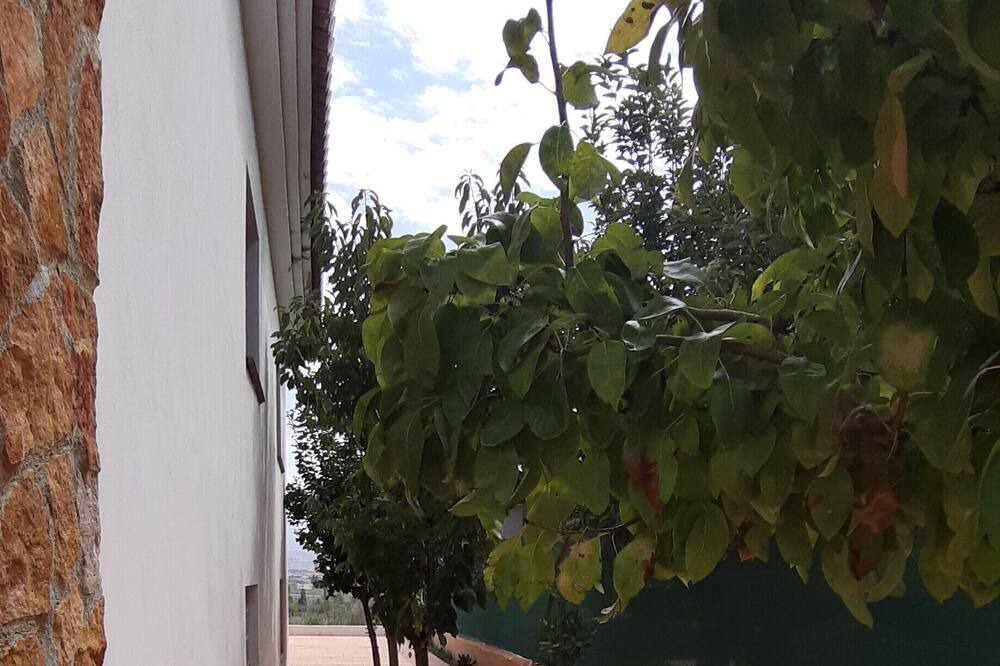 Photo of Others in Albolote