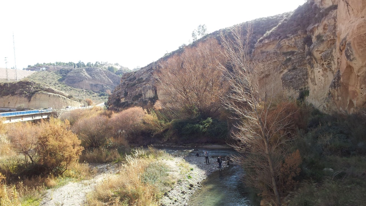 Photo of Others in Cuevas del Campo