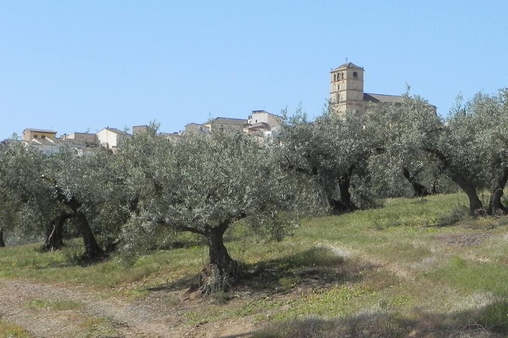 Photo of Others in Alhama de Granada