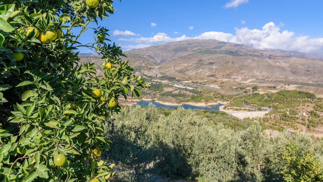 Photo of Outdoor in El Pinar