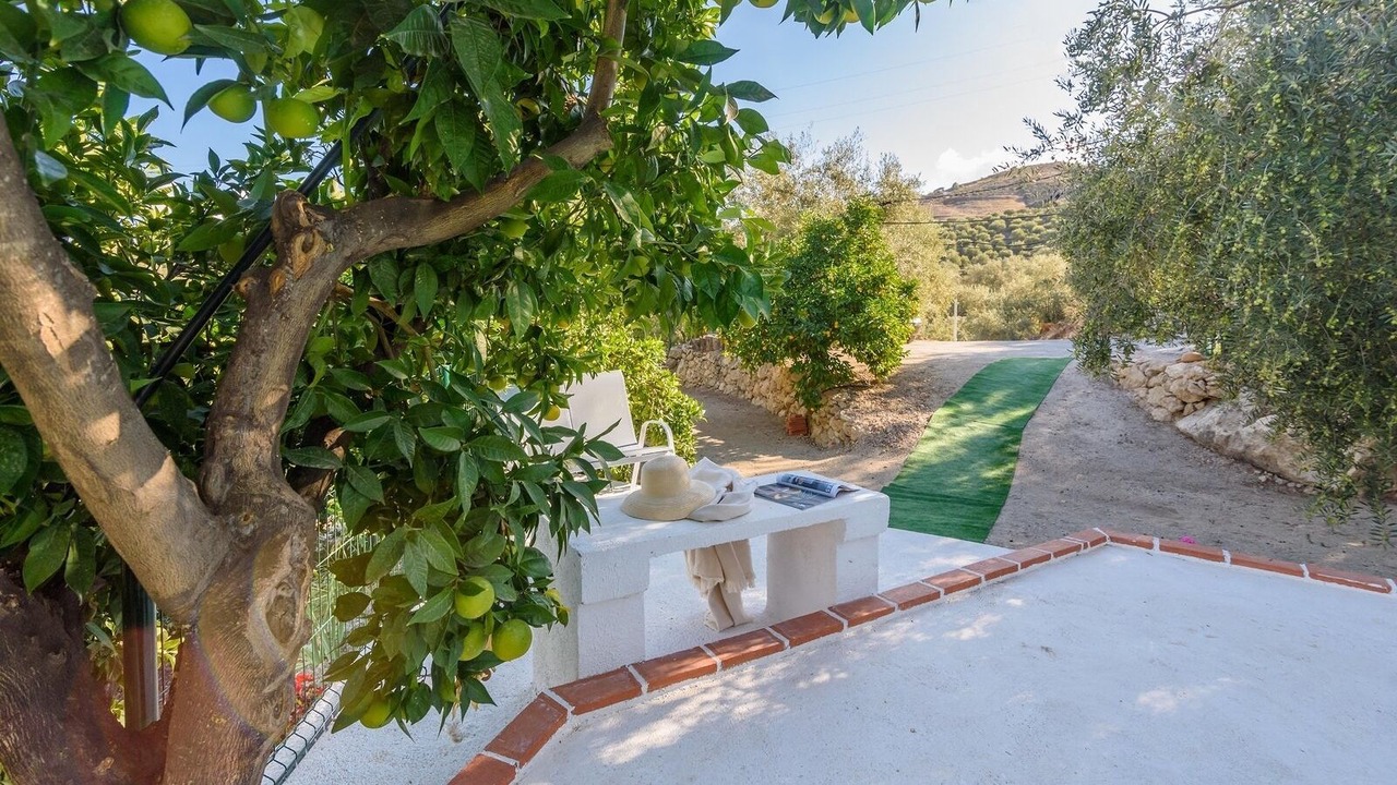 Photo of Outdoor in El Pinar