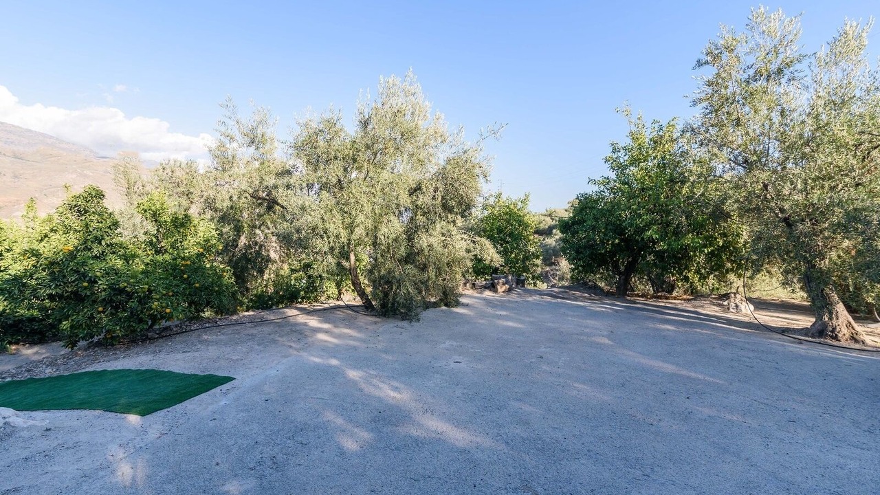 Photo of Outdoor in El Pinar