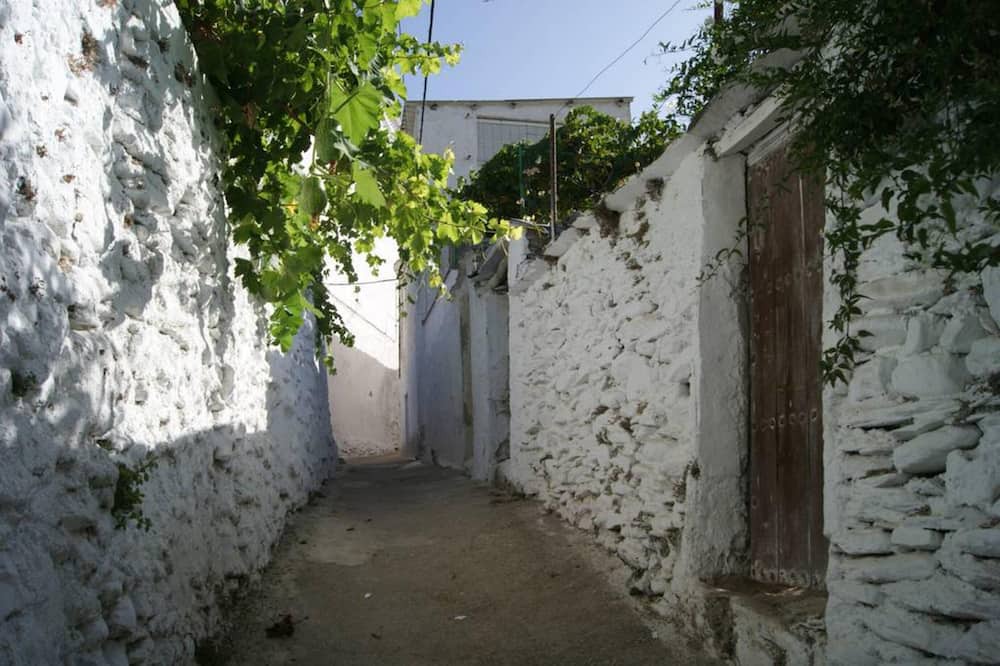 Photo of Outdoor in Cadiar