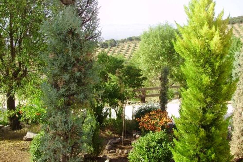 Photo of Outdoor in Illora