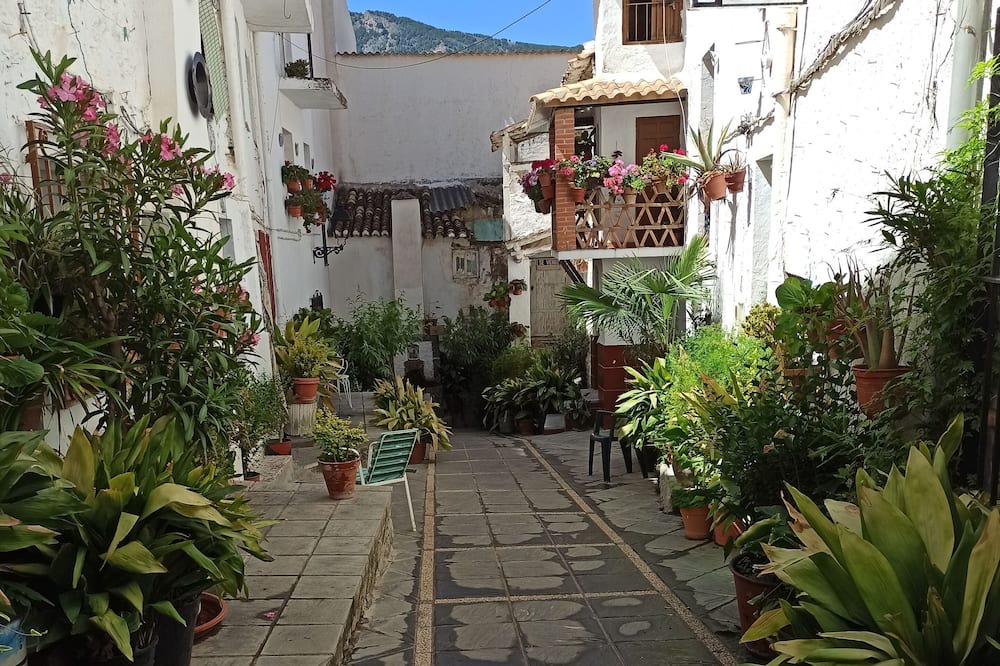 Photo of Outdoor in Guejar Sierra