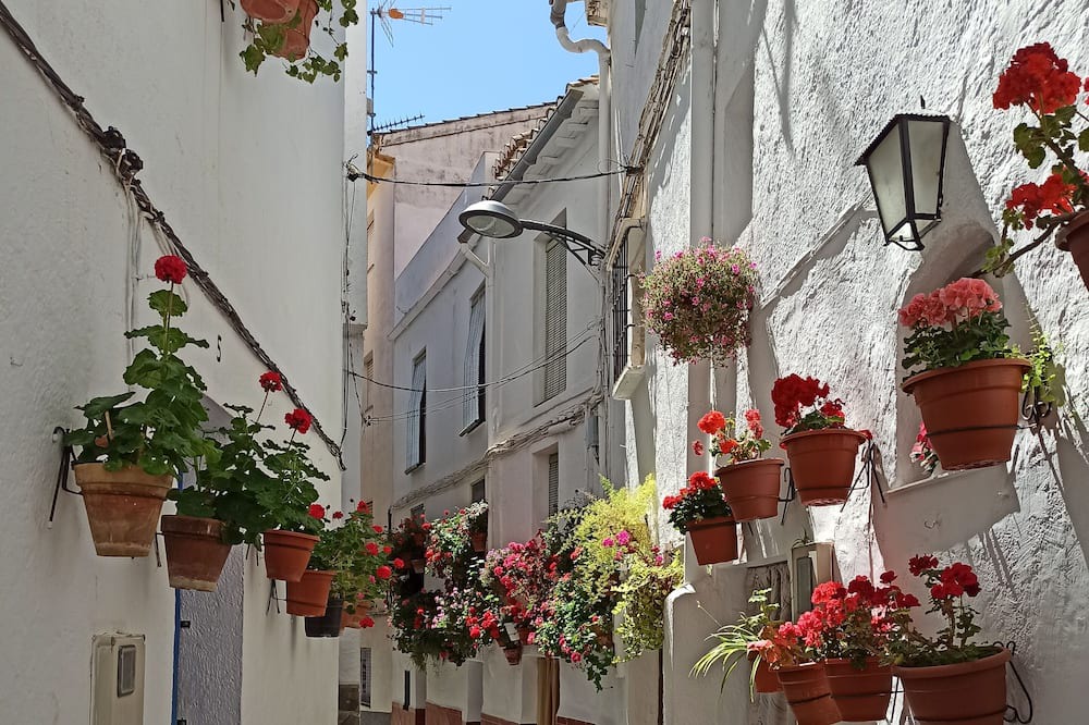 Photo of Outdoor in Guejar Sierra