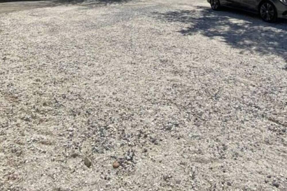 Photo of Outdoor in Marchal