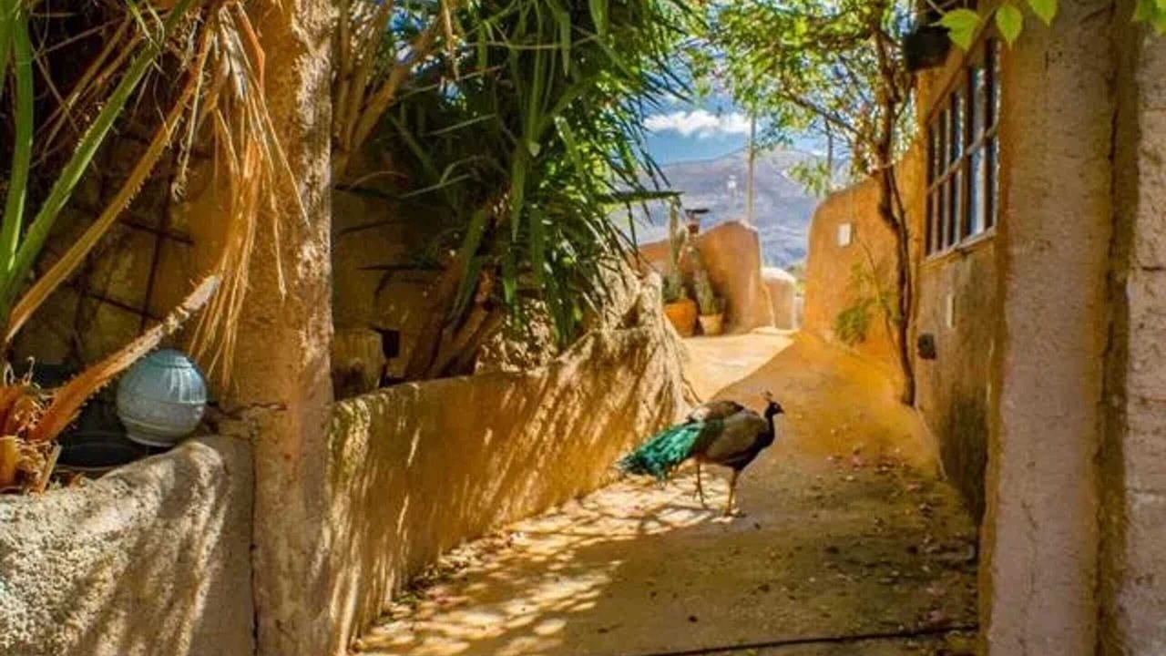 Photo of Outdoor in Loja
