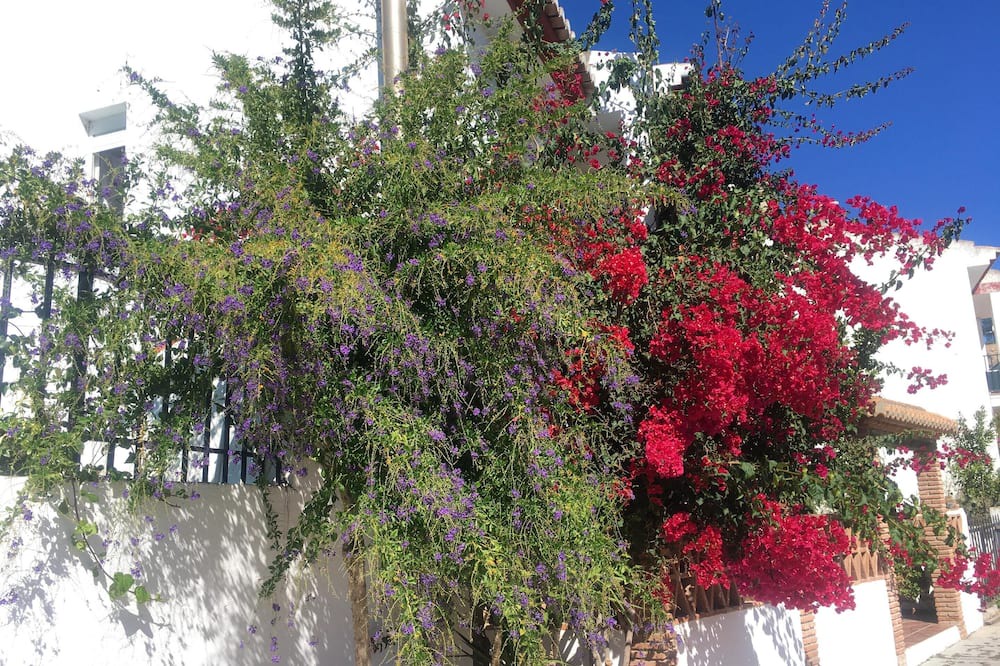 Photo of Outdoor in Conchar
